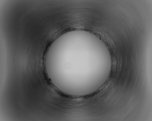 X0000088220609200705151030