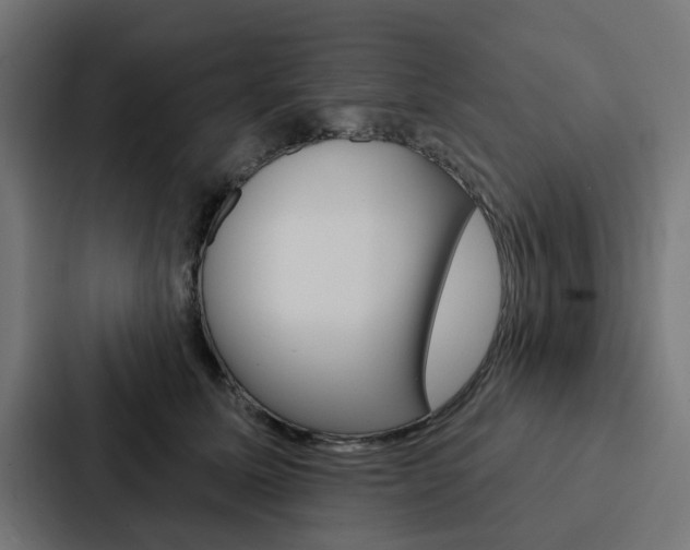 X0000088220611200705151030