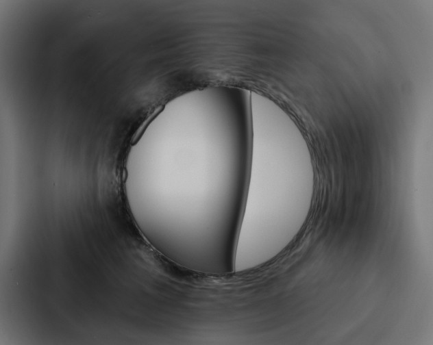 X0000088220613200705151030