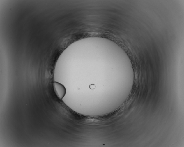 X0000088220614200705151030