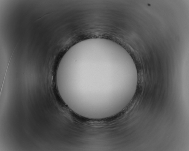 X0000088220615200705151030