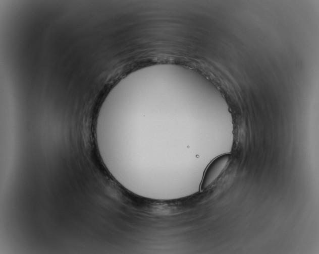 X0000088220616200705151030