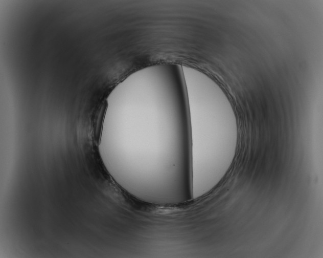 X0000088220617200705151030