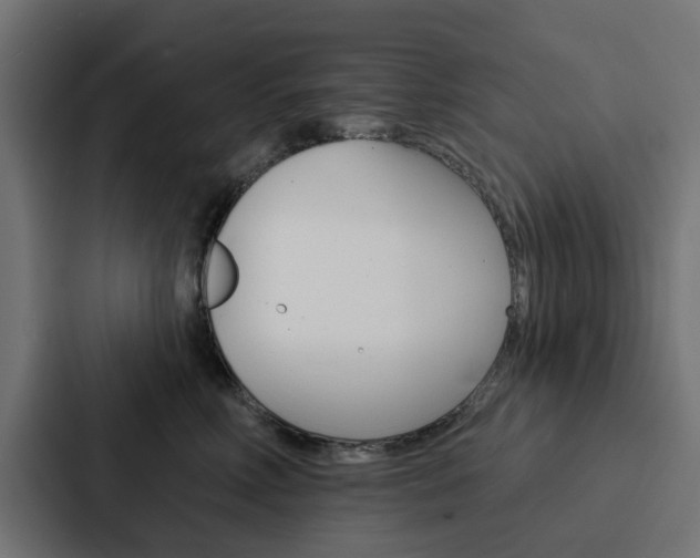 X0000088220618200705151030