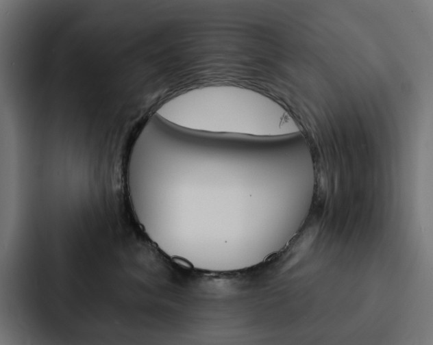 X0000088220620200705151030