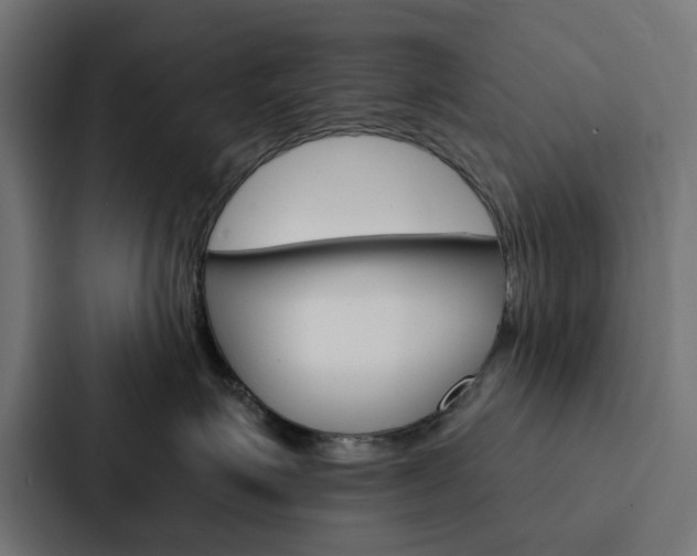 X0000088220623200705151030