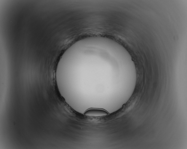 X0000088220624200705151030