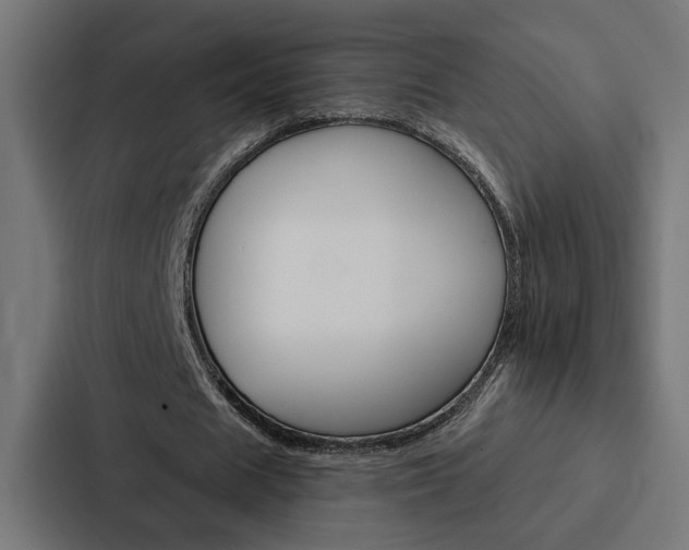 X0000088220625200705151029