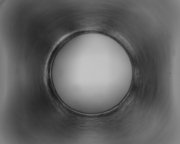 X0000088220628200705151029