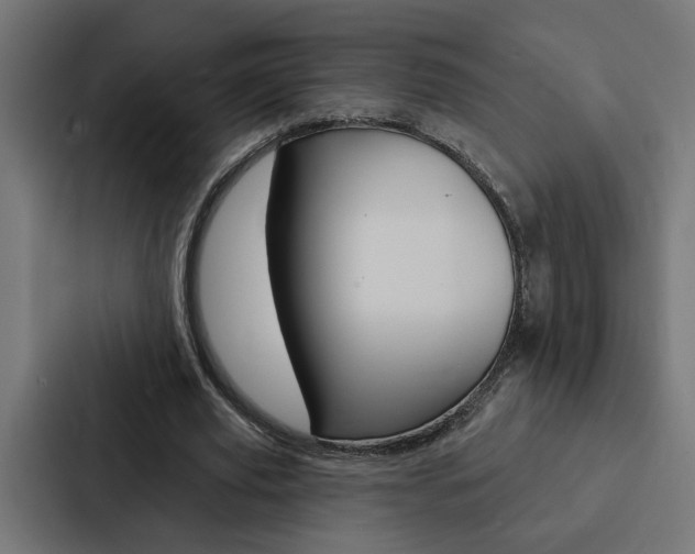 X0000088220629200705151029