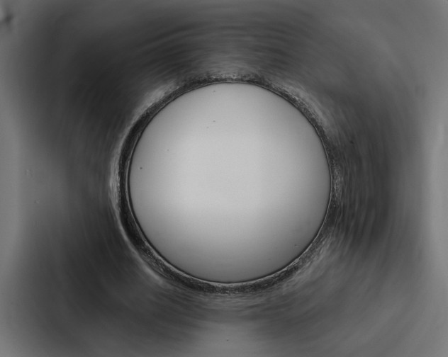 X0000088220630200705151029