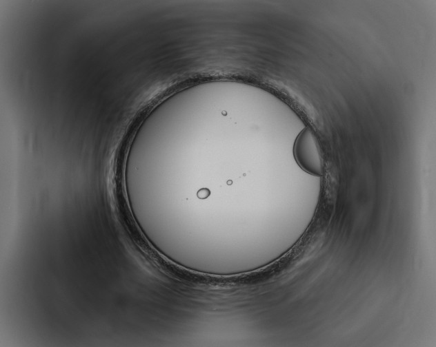 X0000088220631200705151029
