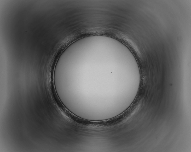 X0000088220633200705151030
