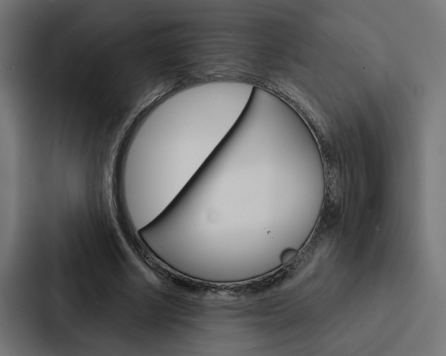 X0000088220634200705151030
