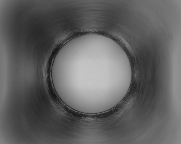 X0000088220635200705151030