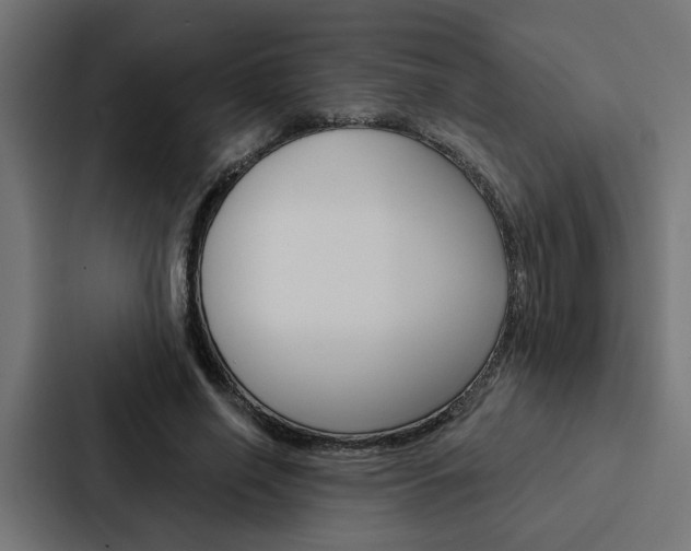 X0000088220638200705151030