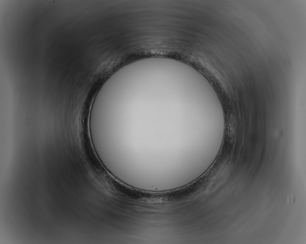 X0000088220639200705151030