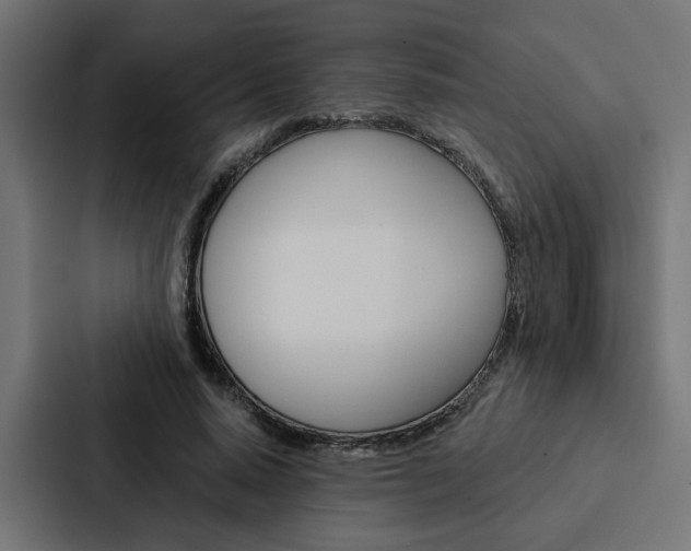 X0000088220640200705151030