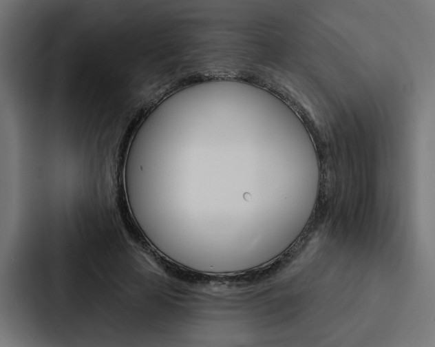 X0000088220641200705151030