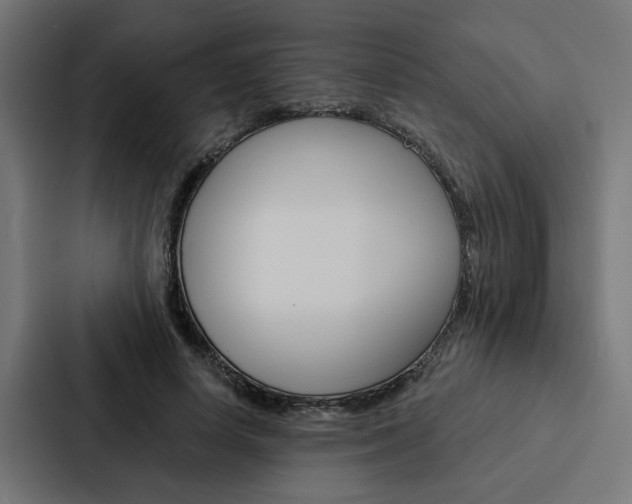 X0000088220642200705151030