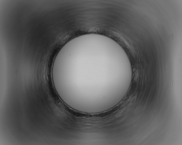 X0000088220643200705151030