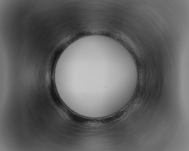 X0000088220644200705151030