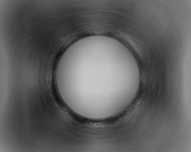X0000088220645200705151030