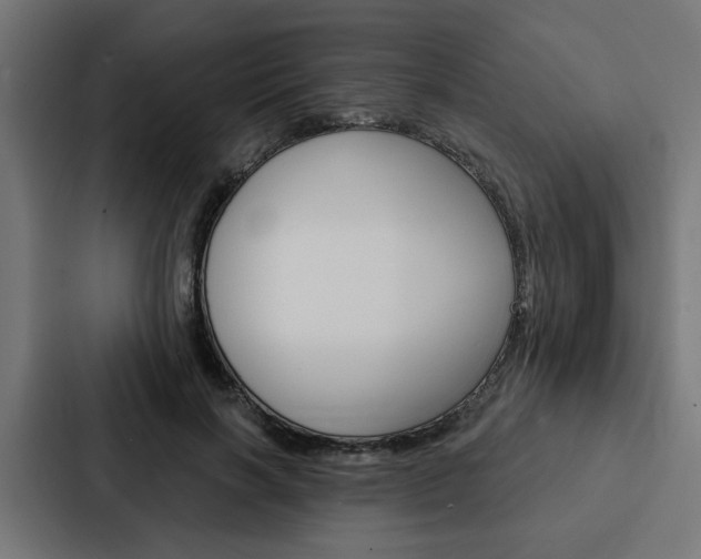 X0000088220646200705151030
