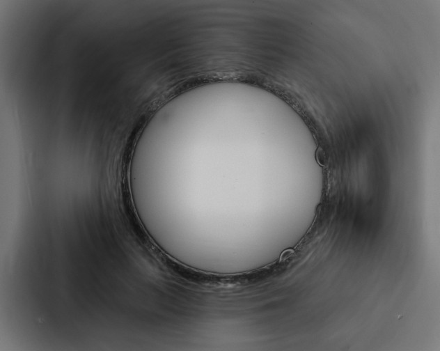 X0000088220647200705151030