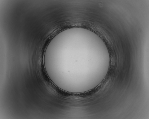 X0000088220648200705151030