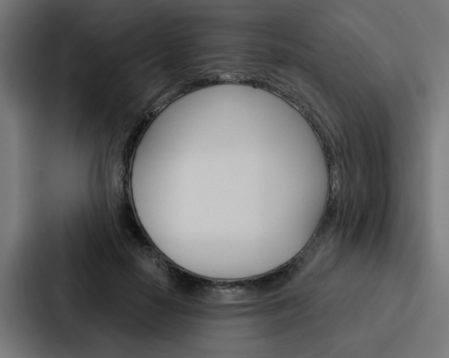 X0000088220650200705151030