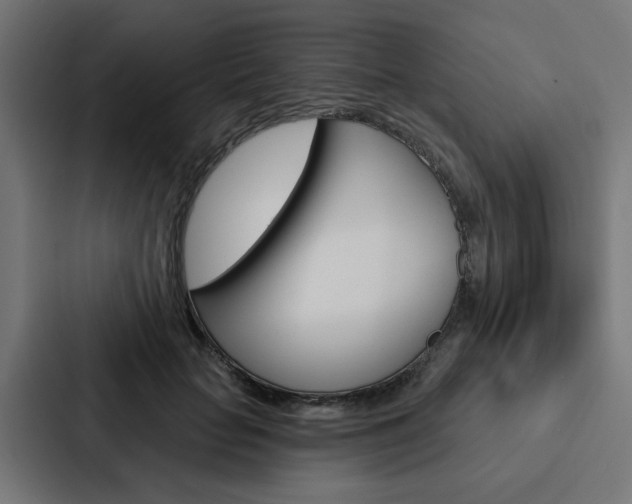 X0000088220653200705151030