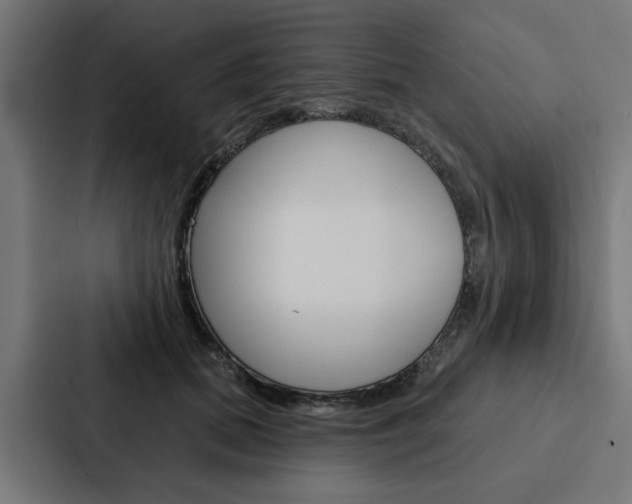 X0000088220655200705151030