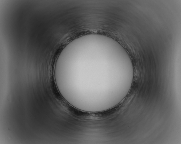 X0000088220656200705151030