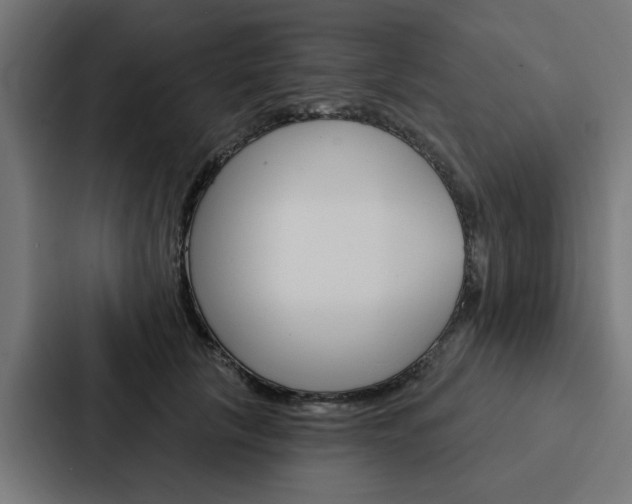 X0000088220657200705151030