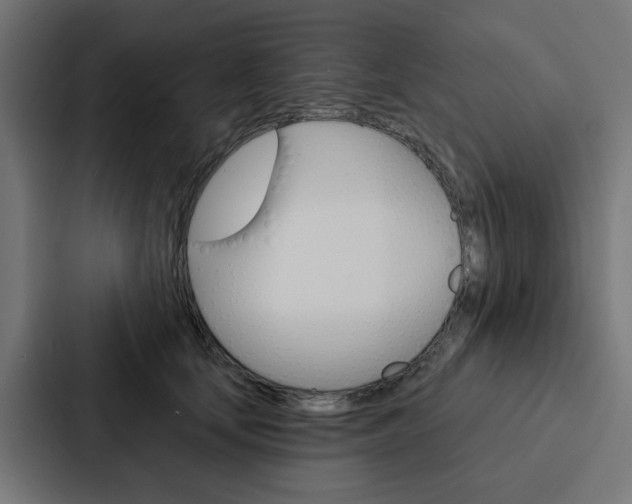 X0000088220659200705151030