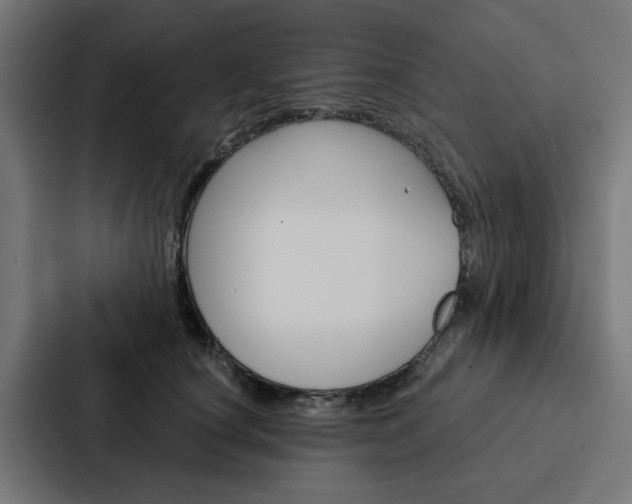 X0000088220660200705151030