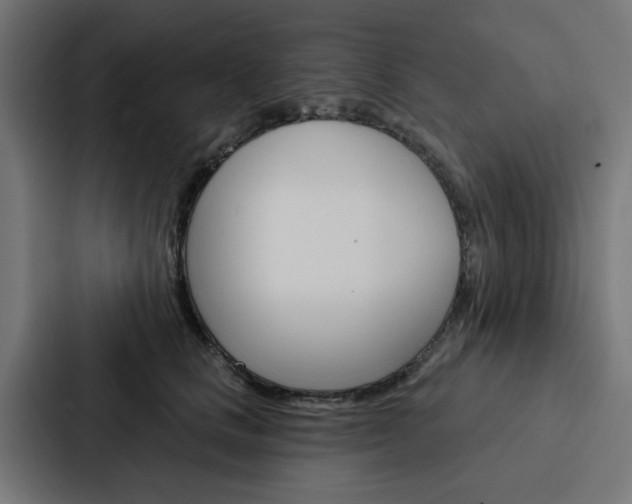 X0000088220661200705151030