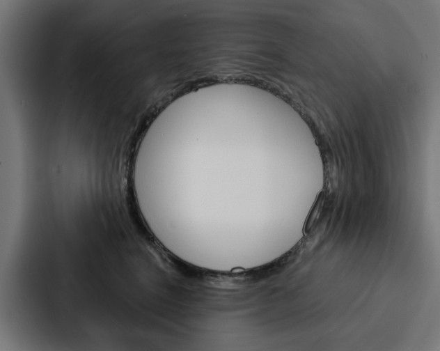 X0000088220664200705151030