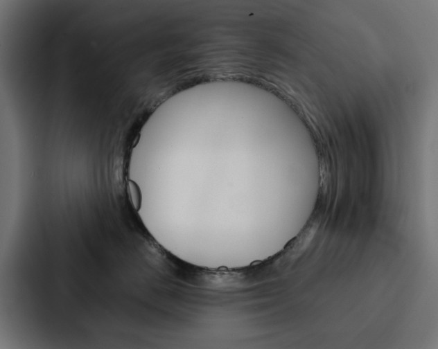 X0000088220670200705151030