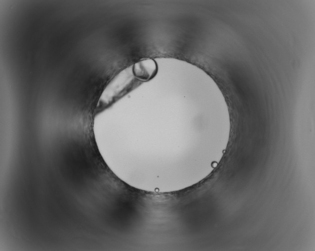 X0000088220672200705151030