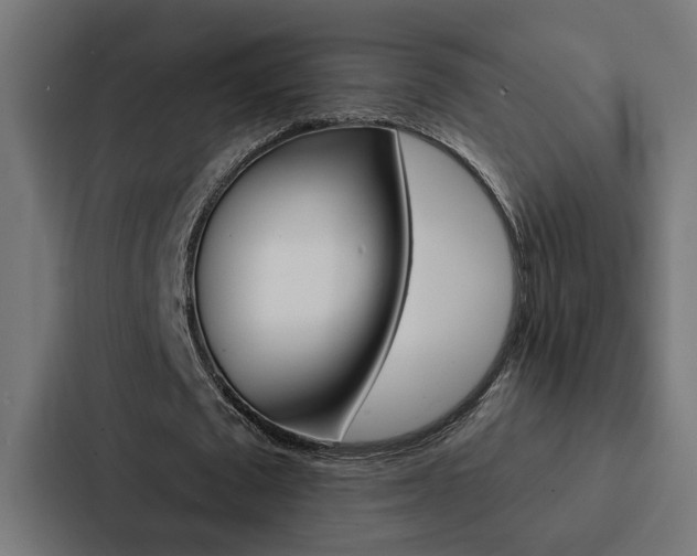 X0000088220673200705151029