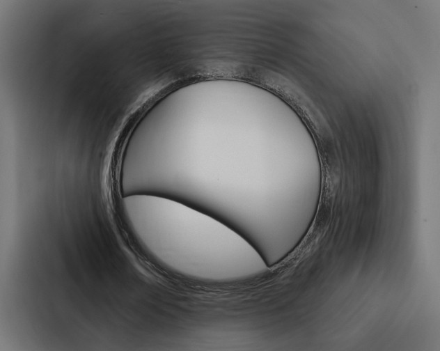 X0000088220674200705151029
