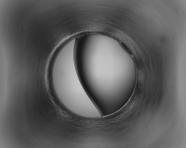 X0000088220676200705151029