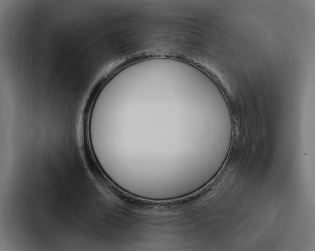 X0000088220678200705151029
