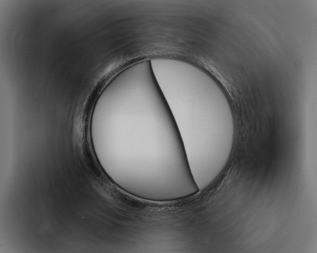 X0000088220679200705151029