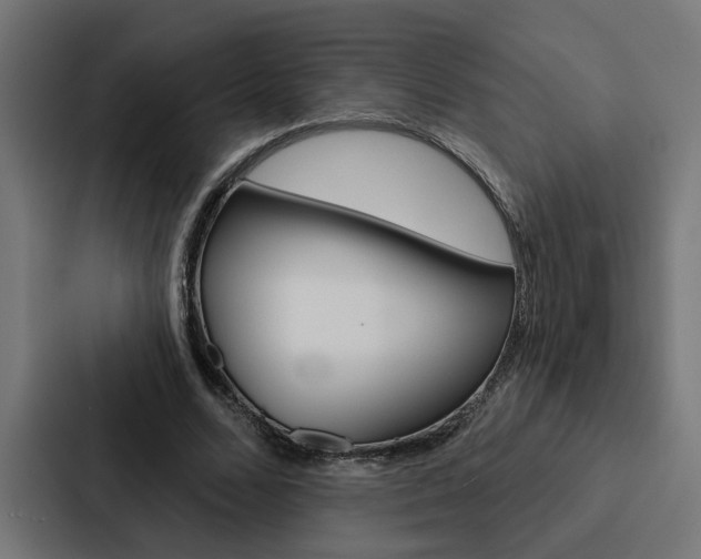 X0000088220680200705151029