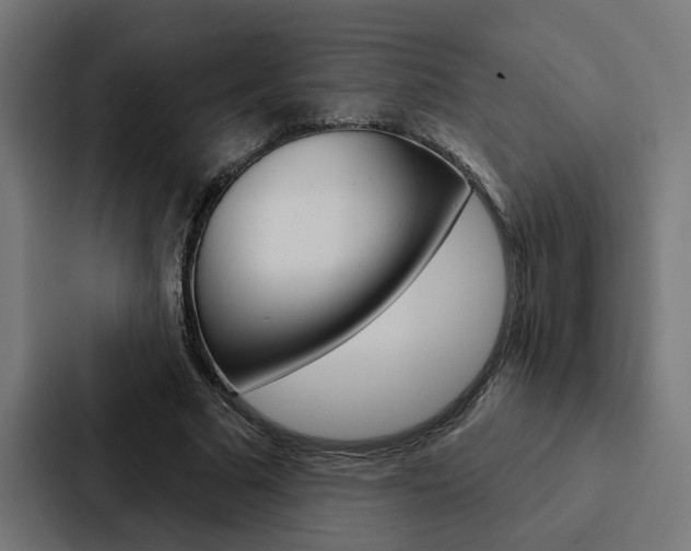 X0000088220681200705151029