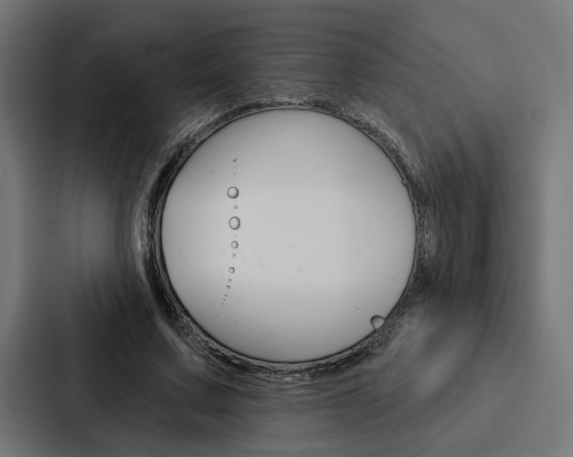 X0000088220683200705151029