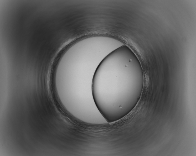 X0000088220684200705151029